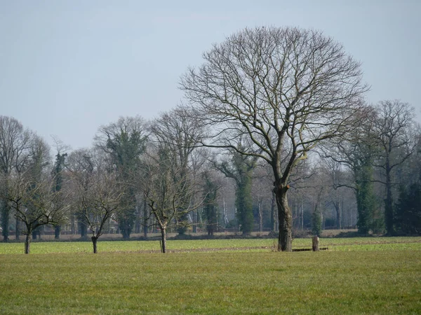 Hiking Neat Winterswijk Netherlands — Stock Photo, Image