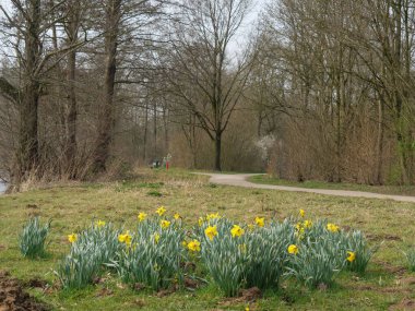 Alman Westphalia 'sında bir gölde bahar zamanı.