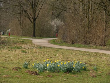 Alman Westphalia 'sında bir gölde bahar zamanı.