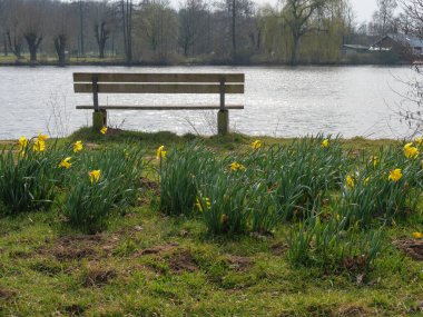 Alman Westphalia 'sında bir gölde bahar zamanı.