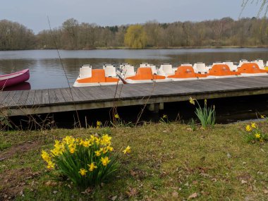 Alman Westphalia 'sında bir gölde bahar zamanı.