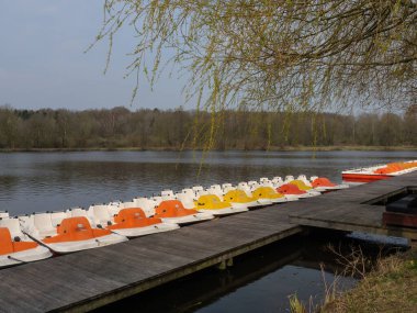 Alman Westphalia 'sında bir gölde bahar zamanı.