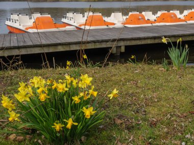 Alman Westphalia 'sında bir gölde bahar zamanı.