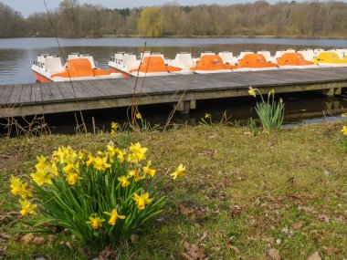 Alman Westphalia 'sında bir gölde bahar zamanı.