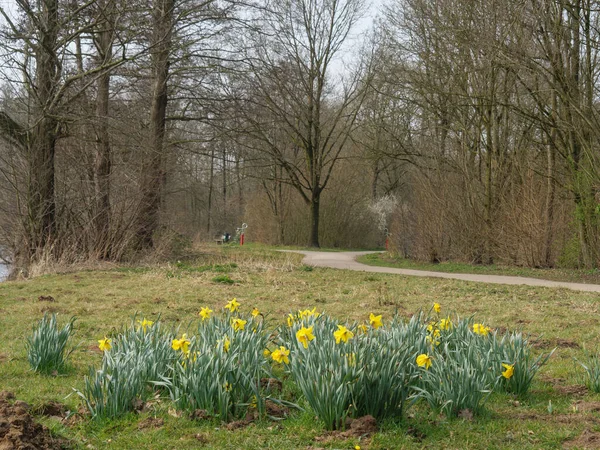 Alman Westphalia 'sında bir gölde bahar zamanı.