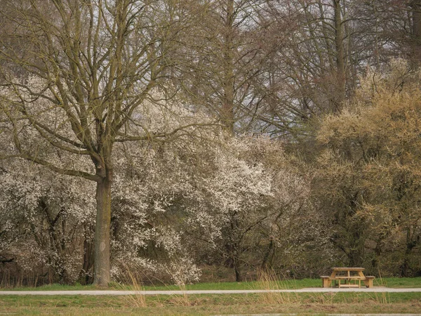 Spring Time Lake German Westphalia — Stock Photo, Image