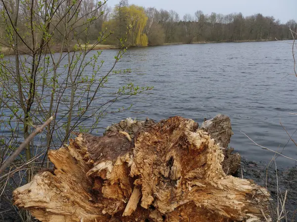 Lente Tijd Bij Een Meer Duitse Westfalen — Stockfoto