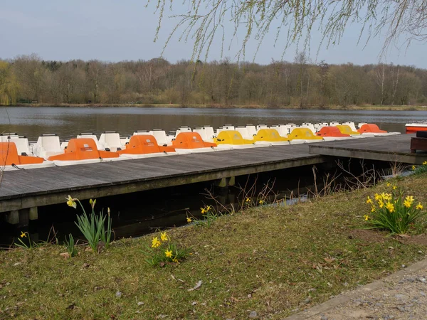 Alman Westphalia 'sında bir gölde bahar zamanı.