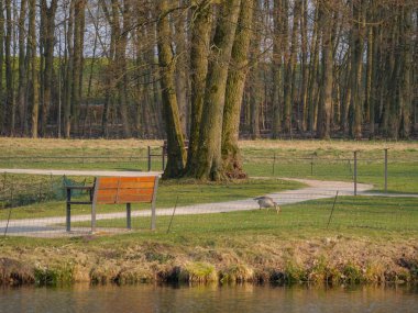 Westphalia 'daki Raesfeld' de bahar geldi.