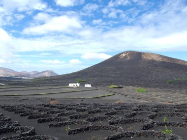 İspanya 'daki Lanzarote Adası