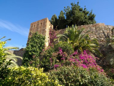 İspanya Malaga şehir