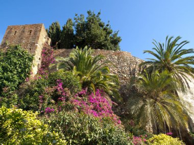 İspanya Malaga şehir