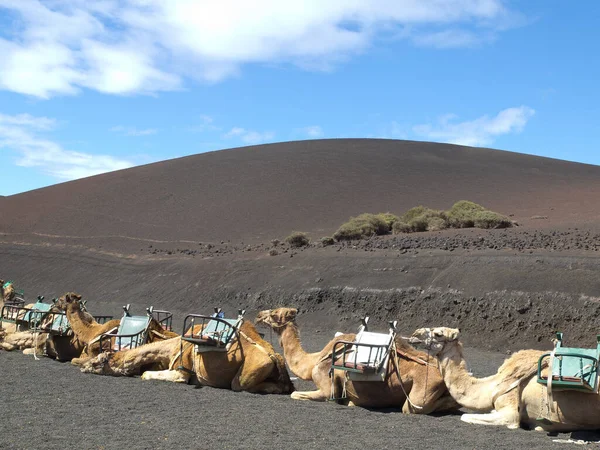 Insel Lanzarote Spanien — Stockfoto