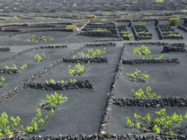 Lanzarote Wyspa Hiszpanii — Zdjęcie stockowe