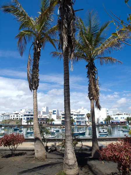 Insel Lanzarote Spanien — Stockfoto