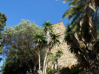 İspanya Malaga şehir