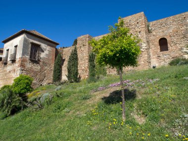 İspanya Malaga şehir