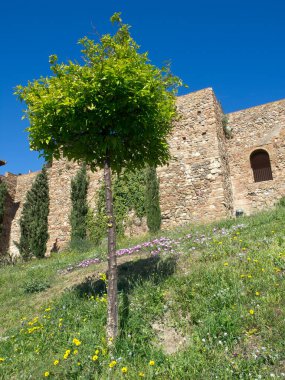 İspanya Malaga şehir