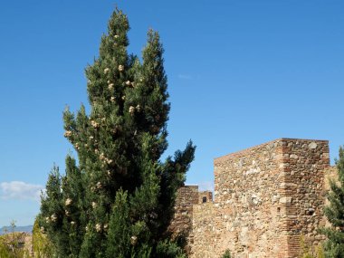 İspanya Malaga şehir