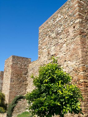 İspanya Malaga şehir