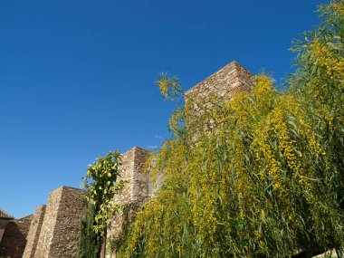 İspanya Malaga şehir