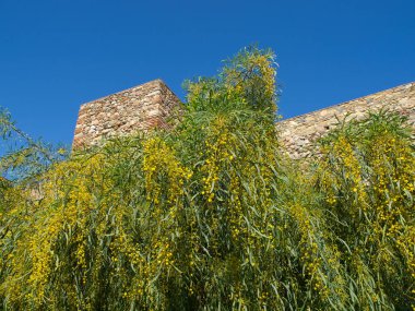 İspanya Malaga şehir