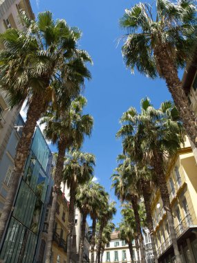 İspanya Malaga şehir