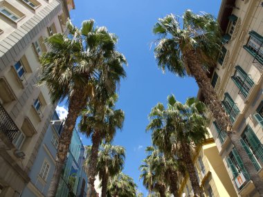 İspanya Malaga şehir