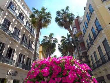 İspanya Malaga şehir