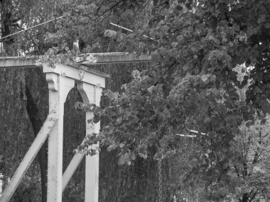 Nehrin kıyısındaki Papenburg şehrinde.