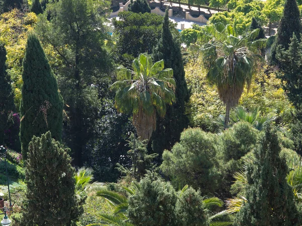 Malaga Stad Spanien — Stockfoto