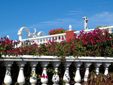 teneriffe İspanyol Adası