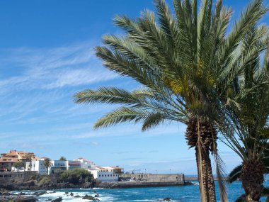 teneriffe İspanyol Adası