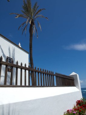 teneriffe İspanyol Adası