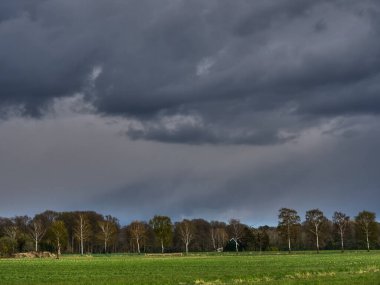Alman Muensterland 'inde bahar geldi.