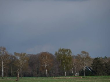 Alman Muensterland 'inde bahar geldi.