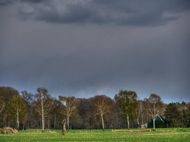 Alman Muensterland 'inde bahar geldi.