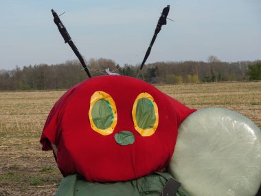 Alman Muensterland 'inde Paskalya tavşanları