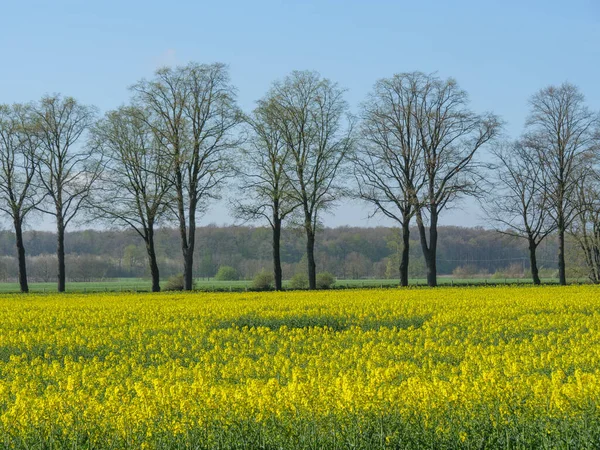 Die Stadt Metelen Münsterland — Stockfoto