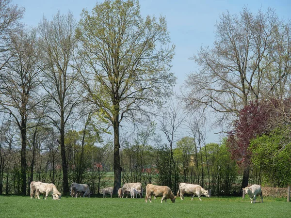 Cidade Stadtloh Westphalia — Fotografia de Stock