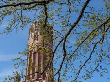 Almanya 'daki Lueneburg şehri.