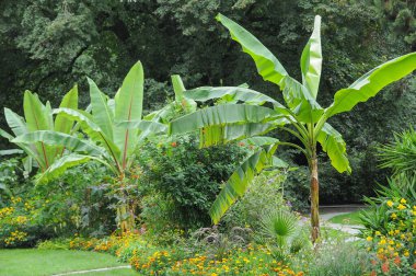 Almanya 'daki güzel göl manzarası