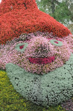 Almanya 'daki güzel göl manzarası