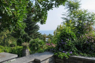 Almanya 'daki Göl Constance