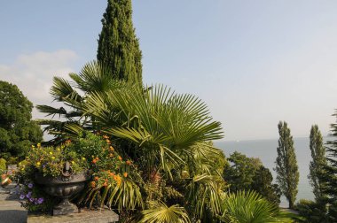 Almanya 'daki Göl Constance