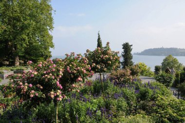 Almanya 'daki Göl Constance