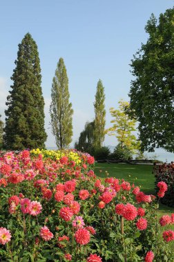 Almanya 'daki Göl Constance