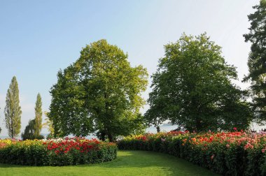 Almanya 'daki Göl Constance