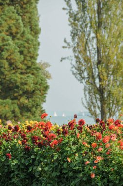 Almanya 'daki Göl Constance