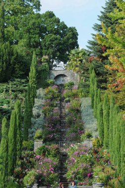 Almanya 'daki Göl Constance